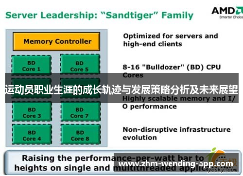 运动员职业生涯的成长轨迹与发展策略分析及未来展望